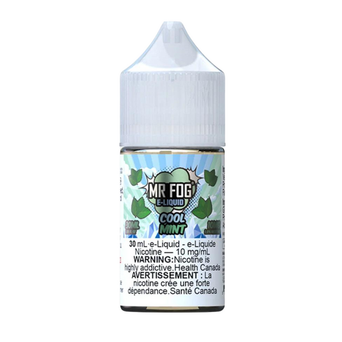 Mr. Fog Salt Cool Mint 30ml 20mg