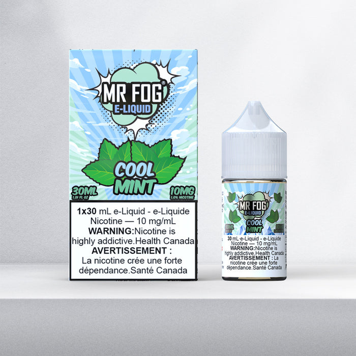 Mr. Fog Salt Cool Mint 30ml 20mg